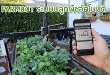 FARMBOT ระบบปลูกพืชอัตโนมัติ